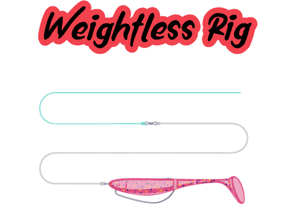 Weightless Rig diagram