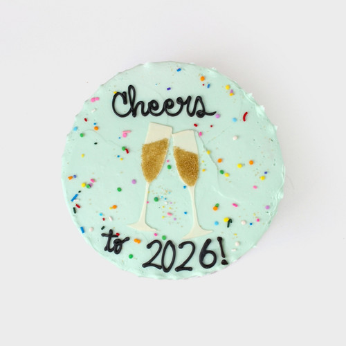 Cheers to 2026 Cake view 1