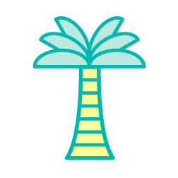 palm tree