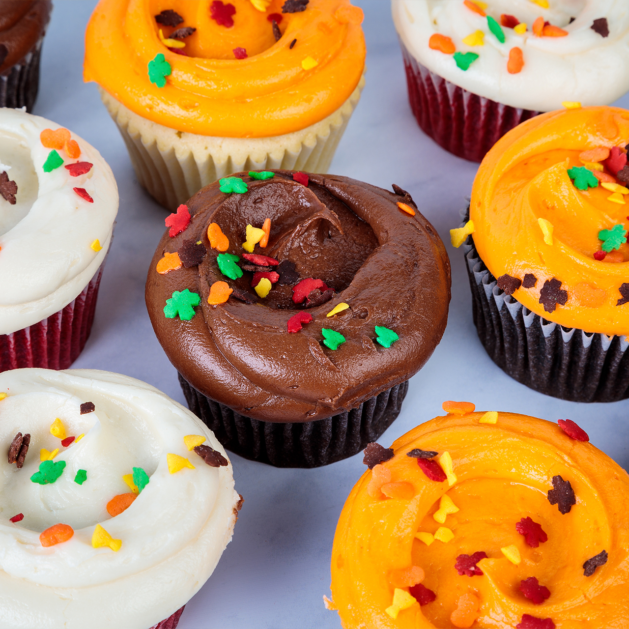 Thanksgiving Decorated Cupcakes - SusieCakes