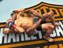 UFC: Undisputed 2009 - PS3 - USED