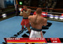 Showtime Championship Boxing - Wii - USED