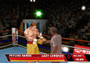 Showtime Championship Boxing - Wii - USED