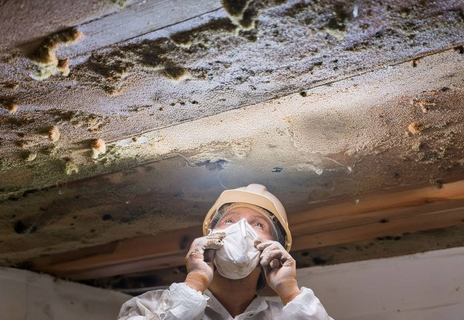 Your Crawlspace and Mold Your Crawlspace and Mold
