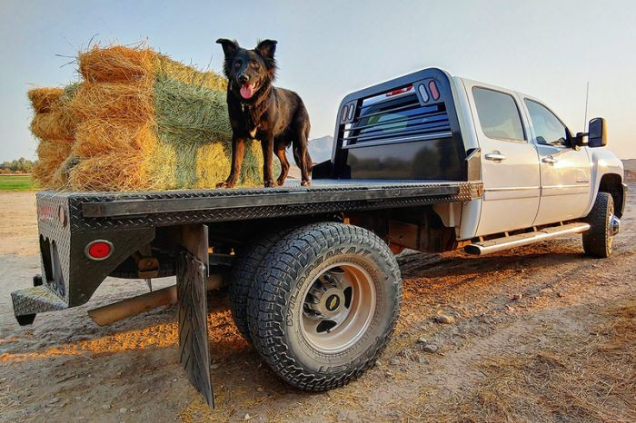 Norstar SR Pickup Flatbed | Multiple Bed Sizes