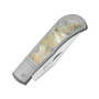 Kizer Trestle Titanium/Mother of Pearl (Ki3761A3)