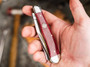 Boker Germany Tree Brand 1095 Trapper Smooth Red Bone (110882)
in hand