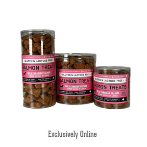 Travel Tin Wild Salmon Heart Biscuit Treat for dogs