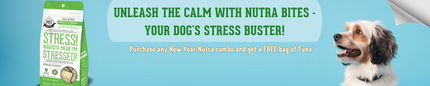 Unleash the Calm with Nutra Bites - Your Dog's Stress Buster!