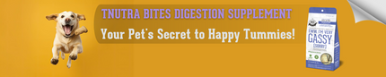 Nutra Bites Digestion Supplement: Your Pet's Secret to Happy Tummies!