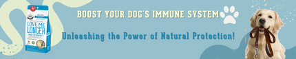 Boost Your Dog's Immune System: Unleashing the Power of Natural Protection!