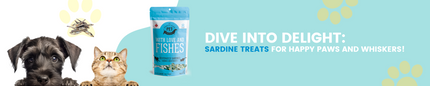 Dive into Delight: Sardine Treats for Happy Paws and Whiskers!