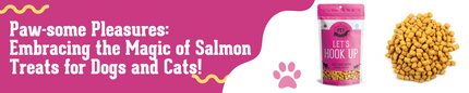 Paw-some Pleasures: Embracing the Magic of Salmon Treats for Dogs and Cats!