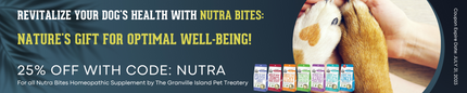 Revitalize Your Dog's Health with Nutra Bites: Nature's Gift for Optimal Well-being!
