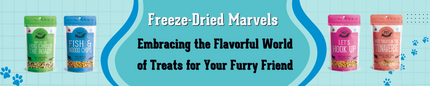 Freeze-Dried Marvels Embracing the Flavorful World of Treats for Your Furry Friend