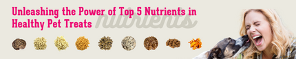 Unleashing the Power of Top 5 Nutrients in Healthy Pet Treats