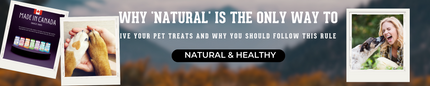 Why 'Natural' is the Only Way to Give Your Pet Treats and Why You Should Follow This Rule