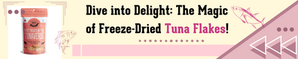 Dive into Delight: The Magic of Freeze-Dried Tuna Flakes!