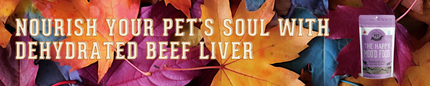 Nourish Your Pet's Soul with Granville Island Pet Treatery's Dehydrated Beef Liver