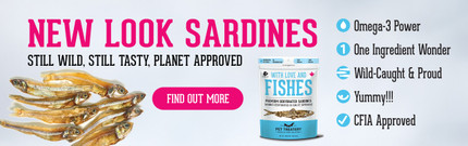 Why our sardines look different (and why it’s a good thing!)