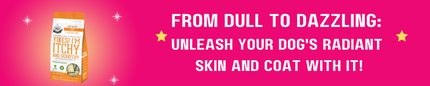 From Dull to Dazzling: Unleash Your Dog's Radiant Skin and Coat with These Nutrients!