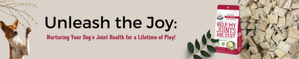 Unleash the Joy: Nurturing Your Dog's Joint Health for a Lifetime of Play!