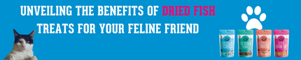 Unveiling the Benefits of Dried Fish Treats for Your Feline Friend