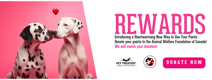 Introducing a Heartwarming New Way to Use Your Points – With an Important Note!