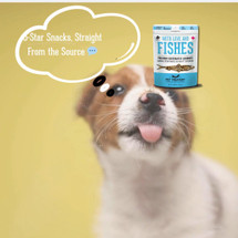 The People (and Pets) Have Spoken ?✨