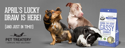 How Lucky Do You Feel? (And no, this is not an April Fool’s Email!)