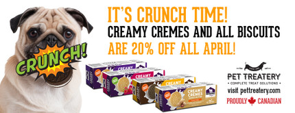 Here’s What Patagonia Knows About Crunchy Pet Treats! …And what we at Pet Treatery know about spectacular 20% OFF sales!