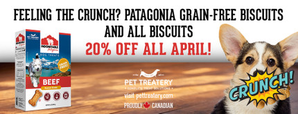 Our Unbelievably Crunchable Treats – 20% OFF all April!