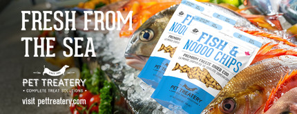 You can thank Cod for this…!