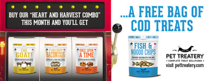 Amazing Winter Combos: Healthy, Droolicious + A FREE GIFT!