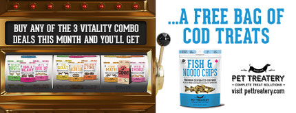 Unleash 2025 With 3 Amazing Combos + A Free Gift!