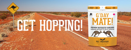 Why Our New Dehydrated Kangaroo Treats Will Drive You Hopping Glad!