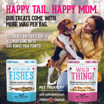 Treats That Spark Joyfully Unstoppable Wags