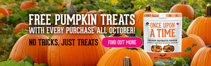 Free pumpkin treats all October — no tricks, just treats.
