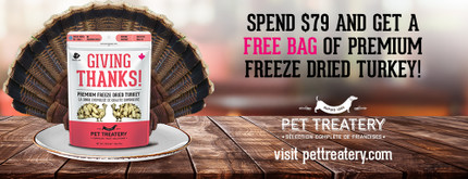 Gobble up these pawsome Thanksgiving deals!  Gobble up these pawsome Thanksgiving deals!