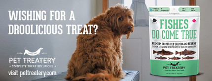 May All Your Fishes Come True…!