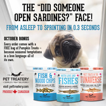 Straight from the Sea— Pure Fish, Zero Funny Business