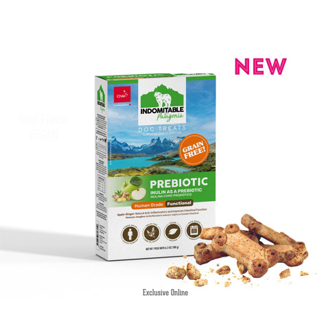 The Granville Island Pet Treatery Indomitable Patagonia Indomitable Patagonia Grain Free Prebiotics Biscuits Apple Ginger 180g Human Grade