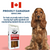 Gift box Beef Biscuits For Dogs Gift box Beef Biscuits For Dogs