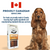 Gift box Cheese Biscuits For Dogs 200g Gift box Cheese Biscuits For Dogs 200g