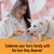 Gift box Cheese Biscuits For Dogs 200g Gift box Cheese Biscuits For Dogs 200g