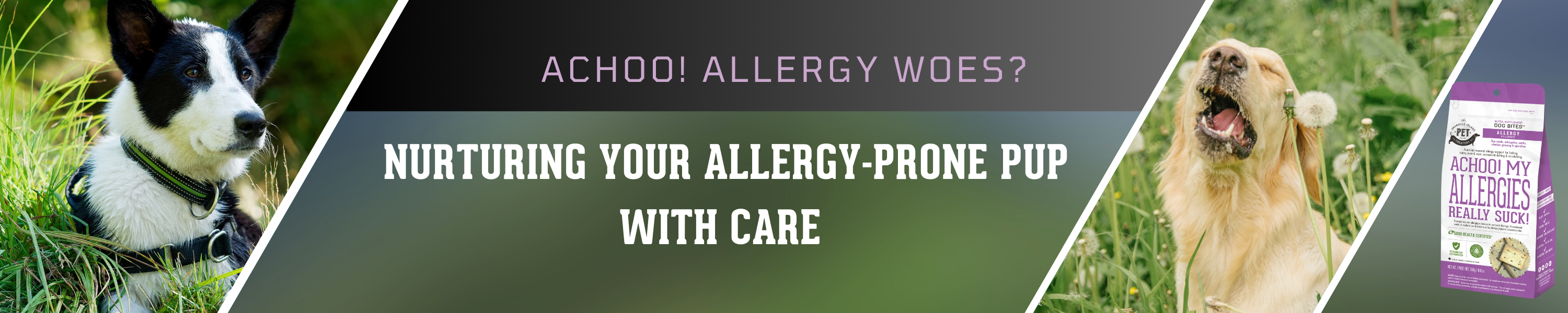 Image showcasing Nurturing Your Allergy-Prone Pup with Care - The Granville Island Pet ...