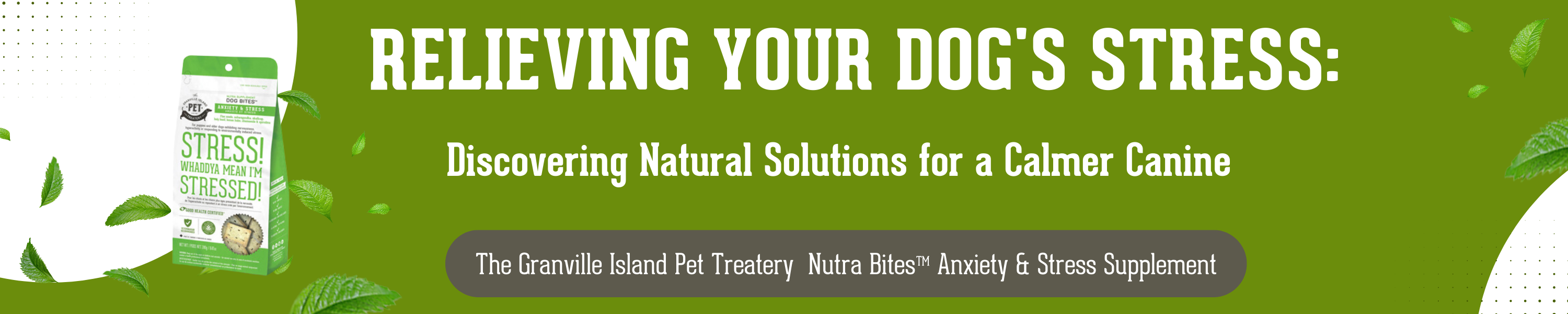 Relieving Your Dog's Stress Discovering Natural Solutions for a Calmer