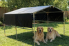 pet canopy