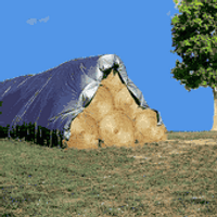 Hay Tarps