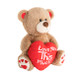 Teddy Bear Chubbs- Love You This Much Heart